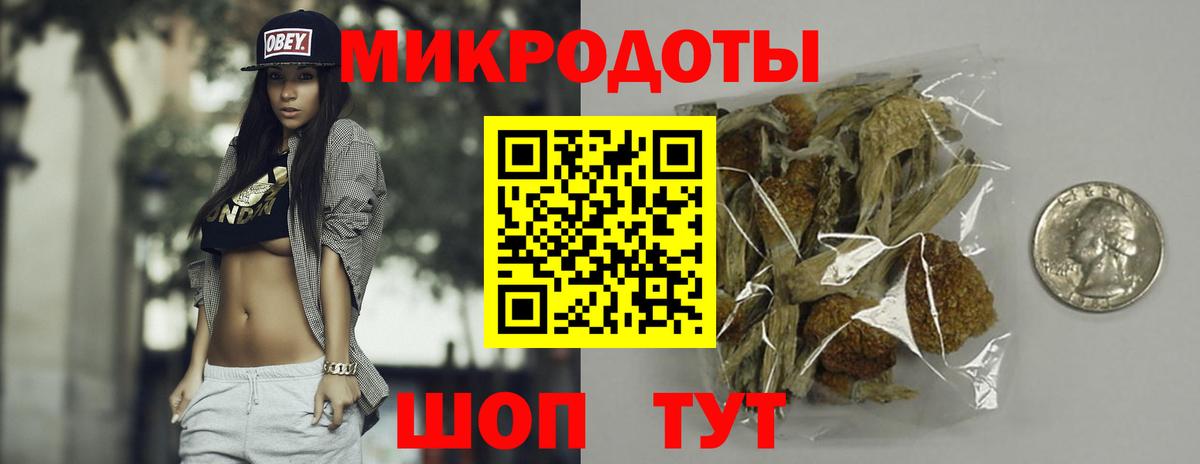 Псилоцибиновые грибы Psilocybine cubensis Выкса