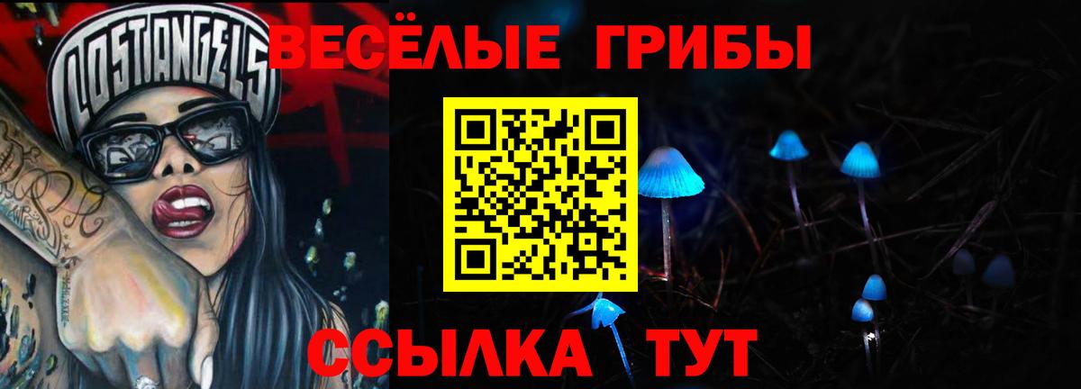 Галлюциногенные грибы мицелий  Вход с VPN  сколько стоит  Выкса 